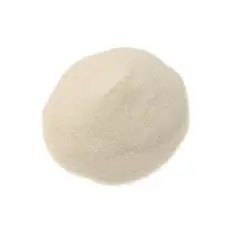 GENERICO - ARENA SILICE 100F MATERIAL FILTRANTE DE ALTO DESEMPEÑO BOLSA 1KG