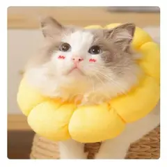 GENERICO - Collar Isabelino de Tela para Gatos - Talla M Color Amarillo