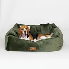 GENERICO - Cama Perro Barky Verde XL