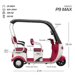 GENERICO - TRIMOTO ELECTRICA P9 MAX EBIKER