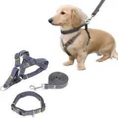 GENERICO - ARNÉS COLLAR Y CORREA DE JEAN Y NEGRO PARA PERRO TALLA L