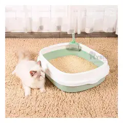 RYBIU IMPORT - Bandeja Gatuna de Necesidades en Verde Y+Ligas de Regalo