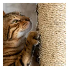 RYBIU IMPORT - Torre Antiestres para Felinos Color Marron Y+Regalo Stickers