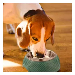 RYBIU IMPORT - Plato Bonito con Base para Perro en Color Verde Oscuro