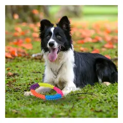 GENERICO - Aro Resistente para Dog de 145 cm Multicolor Y+Stickers