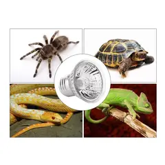 GENERICO - PACK 2 FOCOS UVB + UVA PARA REPTILES MASCOTAS 220V
