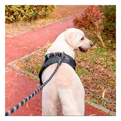 RYBIU IMPORT - Arnes Pechera Service Dog Talla L Duradero en Color Negro