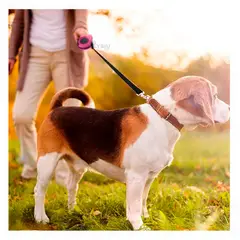 GENERICO - Soga Retractil de Mascota Comodo 5 Metros en Diseño Rosado