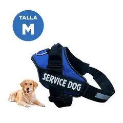 GENERICO - Correa Canina en Tono Azul Y+Regalo Ligas para Peinar