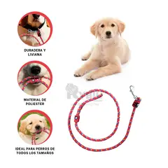 RYBIU IMPORT - Correa para Perro Basico en Multicolor Y+Post-it Adhesivos