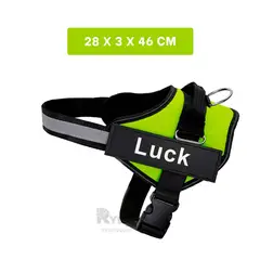 RYBIU IMPORT - Pechera Apta para Perros L en Color Verde Y+Ligas de Regalo