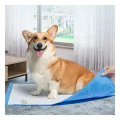 RYBIU IMPORT - Pañal Ecologico para Mascota 60x60 Talla L Y+Regalo Stickers