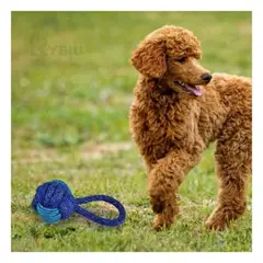 GENERICO - Soga Lavable para Perros en Color Azul Y+Regalo Agendita
