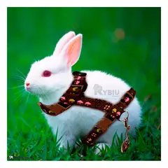 RYBIU IMPORT - Tirante Bonito y Resistente en Marron Y+Ligas de Regalo