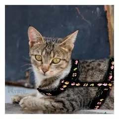 RYBIU IMPORT - Tirante de Pecho para Conejo en Negro Y+Banderitas adhesivas