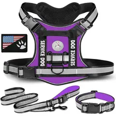 GENERICO - COLLAR Y PECHERA MORADA TALLA L TÁCTICA REFORZADA PARA PERRO