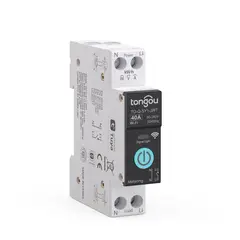 GENERICO - Interruptor Wi-Fi inteligente DIY 1P+N