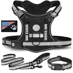 GENERICO - COLLAR Y PECHERA NEGRO TALLA M TÁCTICA REFORZADA PARA PERRO