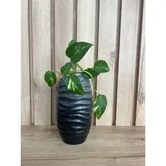 MAP DESIGN HOME - Florero Soho Largo Petit Grafito 13x24 cm