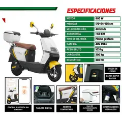 GENERICO - Moto Electrica de adultos 800W
