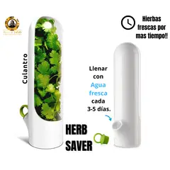 GENERICO - Conservador de hierbas verduras frescas mas tiempo Herb Saver