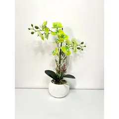 GENERICO - ORQUIDEA VERDE 40 X 12 BASE BLANCA