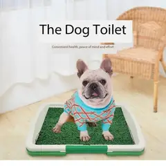 GENERICO - Portátil Baño Entrenamiento Perros Gatos Mascotas Genieka