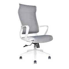 OFIDEAS - Silla de Oficina Giratorio Rigs Presidente Malla Gris