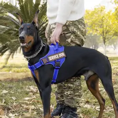 GENERICO - ARNÉS PARA PERROS DE SERVICIO EXTRA DOBLE COLOR AZUL TALLA S + CORREA GRUESA