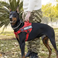 GENERICO - ARNÉS PARA PERROS DE SERVICIO EXTRA DOBLE COLOR ROJO TALLA L + CORREA GRUESA