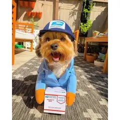 GENERICO - Disfraz para Mascota de Cartero 2 - Grande
