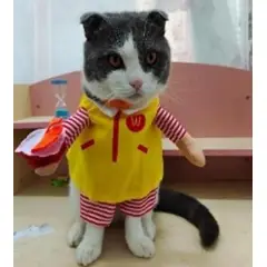 GENERICO - Disfraz para Mascota de Payaso de las Hamburguesas - Mediano