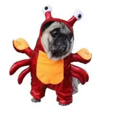 GENERICO - Disfraz para Mascota de Cangrejo - Mediano