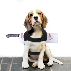 GENERICO - Disfraz para Mascota de Machetazo - Mediano