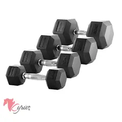 NO LOGO - Par De Mancuernas Hexagonales De 2KG Y Medio