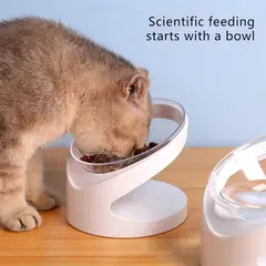 GENERICO - Plato para perro y gato con soporte