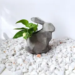 CONKRETE - Maceta Pet Conejo + Planta de interior Photus