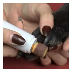 GENERICO - Limador Rapido y Preciso en Color Naranja Y+Regalo Agendita