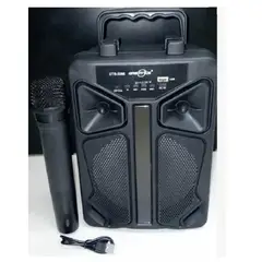 GENERICO - PARLANTE PORTATIL 6´5 CON MICRO INALAMBRICO