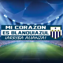 TODO FIT - Bandera Mi Corazon es Blanquiazul