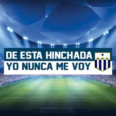 TODO FIT - Bandera para Llevar al Estadio Para Viajes y regalo