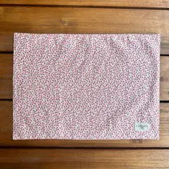 CASIOPIA - Mantel Individual para lonchera antimanchas Julieta