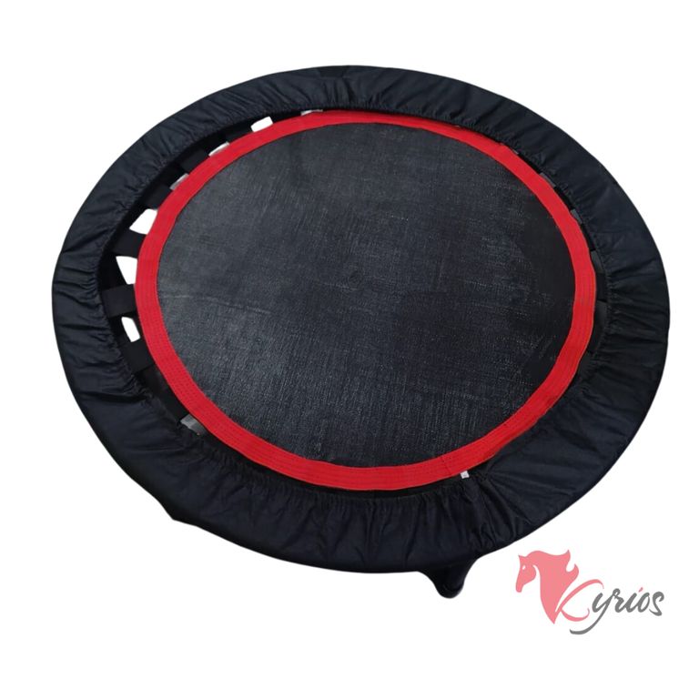 Saltarín Para Niños Modelo Circular