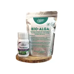 GREEN SUPPLY - Pack Suculentas y Cactus