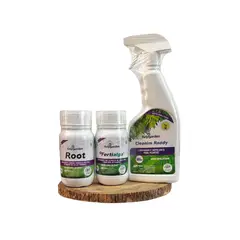 GREEN SUPPLY - Pack Orquídeas con Pocas Raíces