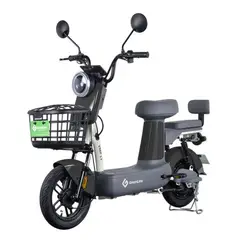 GREENLINE - Moto Eléctrica Litio Extraíble Premium Aro 10 VMP L1 NEGRO