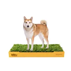 GENERICO - Sanitario de Pasto Natural de Repuestos Intercambiables para Perros - Talla L