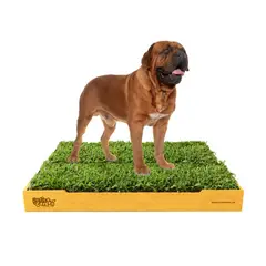 GENERICO - Sanitario de Pasto Natural de Repuestos Intercambiables para Perros - Talla XL