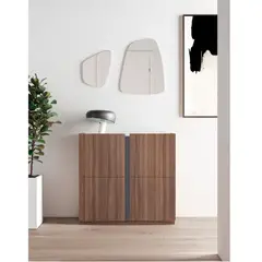 R&R MUEBLES - Zapatera Recibidor Moderno Godoy MarrónNegro