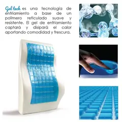 GENERICO - Cojín de Soporte Lumbar